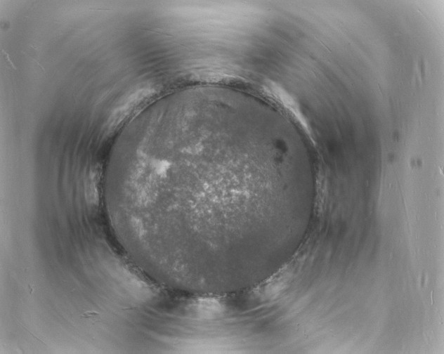 X0000088070114200705251412