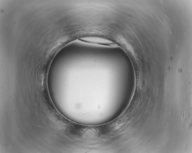 X0000088070115200705251412