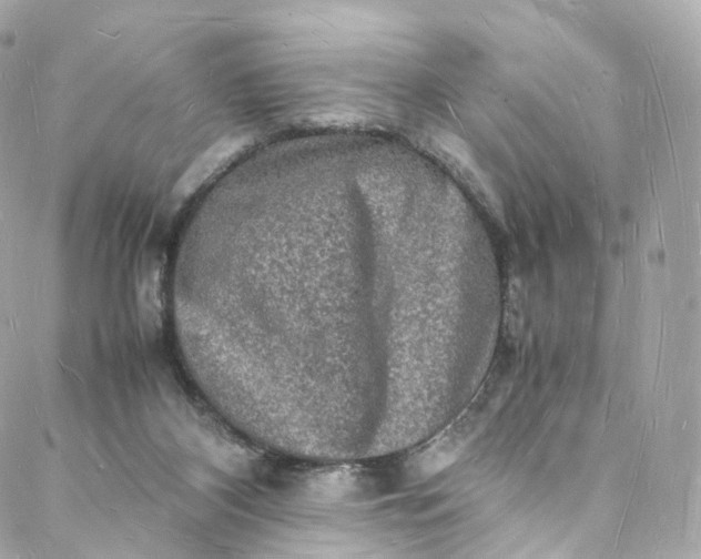 X0000088070116200705251412