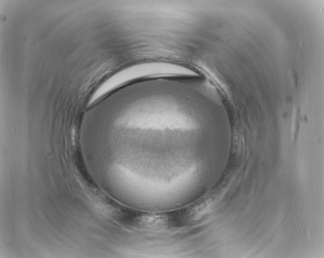 X0000088070117200705251412