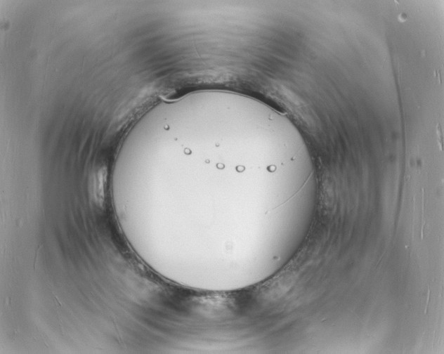 X0000088070118200705251412