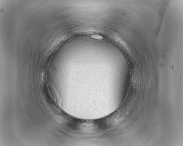 X0000088070119200705251412