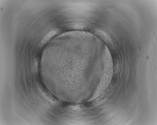 X0000088070120200705251412