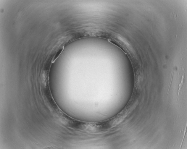 X0000088070121200705251412