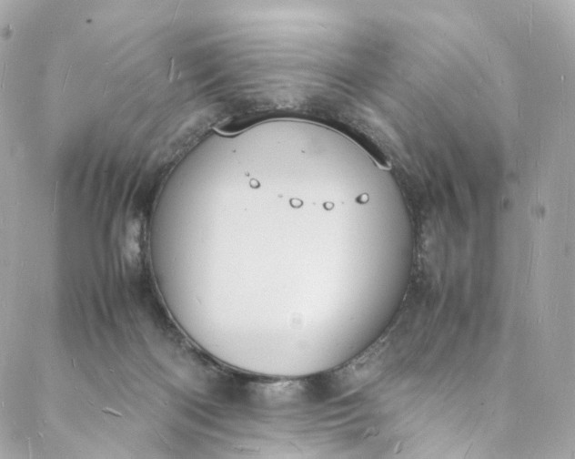 X0000088070122200705251412