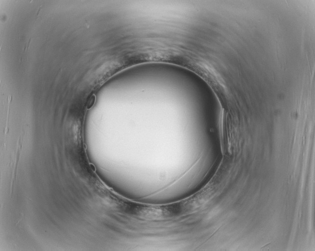 X0000088070123200705251412