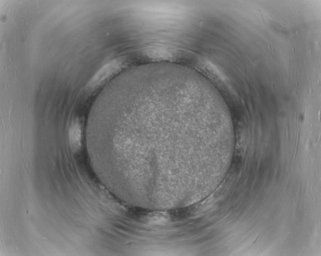 X0000088070124200705251412