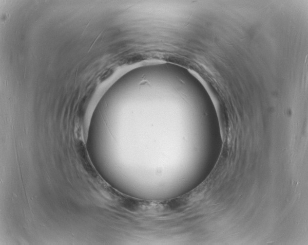 X0000088070125200705251412