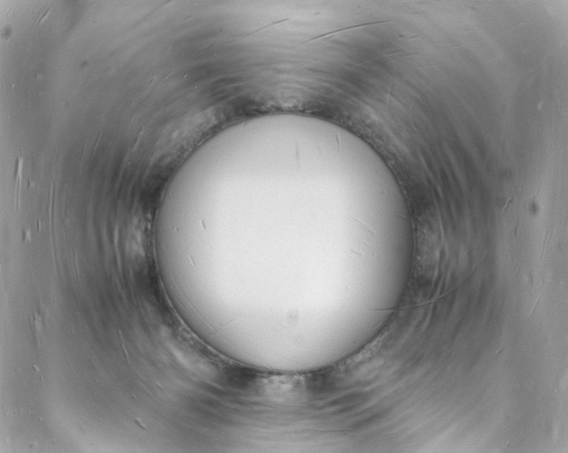 X0000088070126200705251412