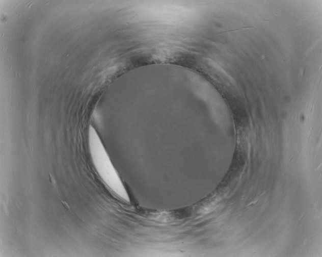 X0000088070127200705251412