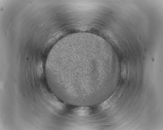 X0000088070128200705251412