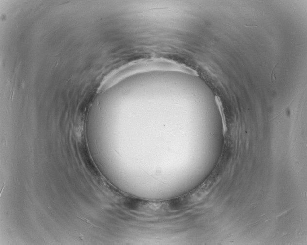 X0000088070129200705251412