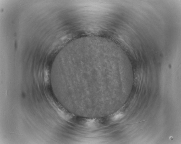 X0000088070130200705251412