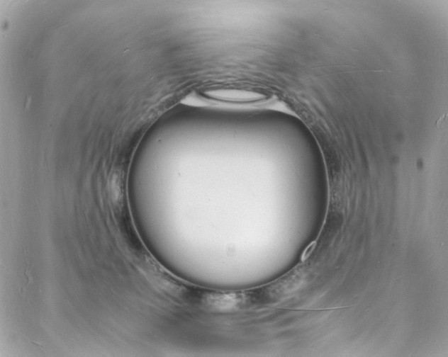 X0000088070131200705251412