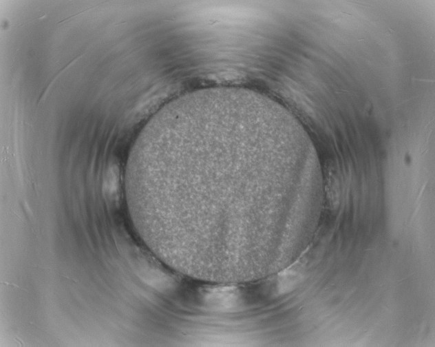 X0000088070132200705251412