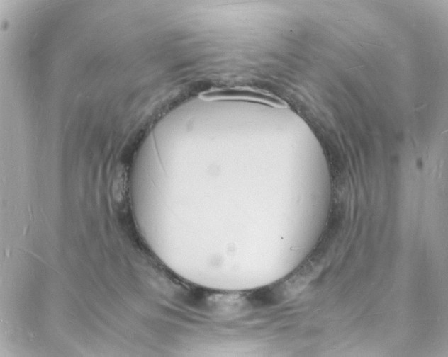 X0000088070133200705251412