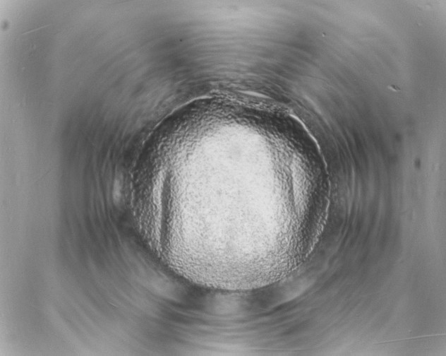 X0000088070134200705251412