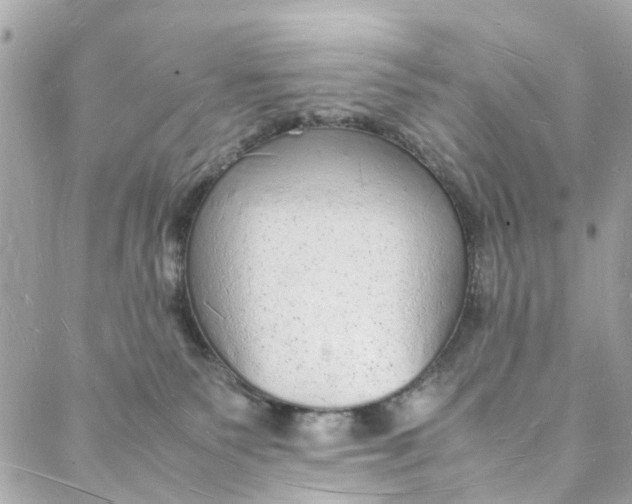 X0000088070135200705251412