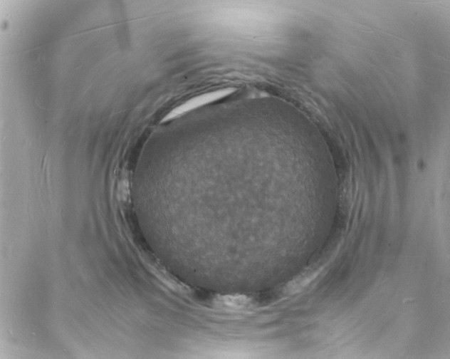 X0000088070137200705251411