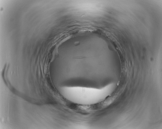 X0000088070139200705251411