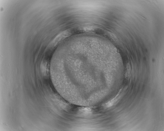 X0000088070140200705251411