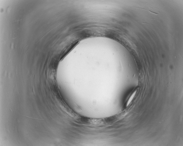 X0000088070141200705251411