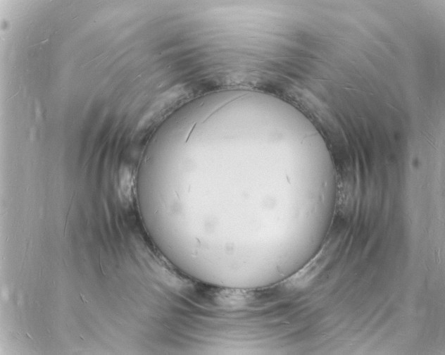 X0000088070142200705251411