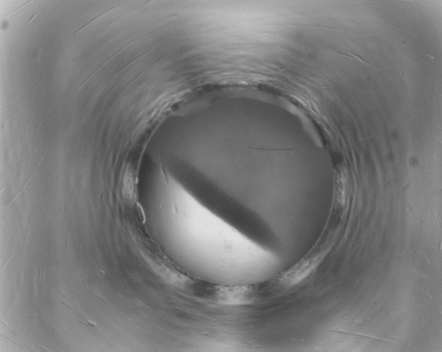 X0000088070143200705251411