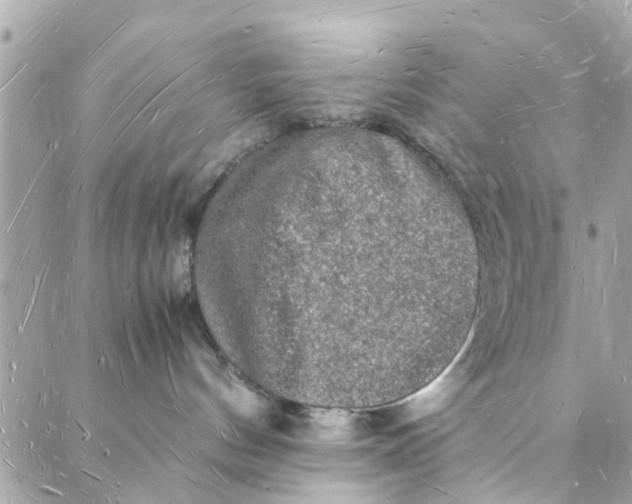 X0000088070144200705251411