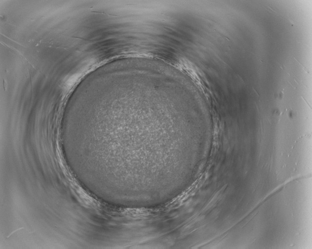 X0000088070145200705251411