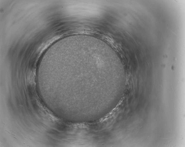 X0000088070146200705251411