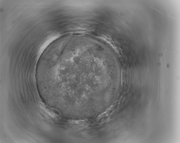 X0000088070147200705251411