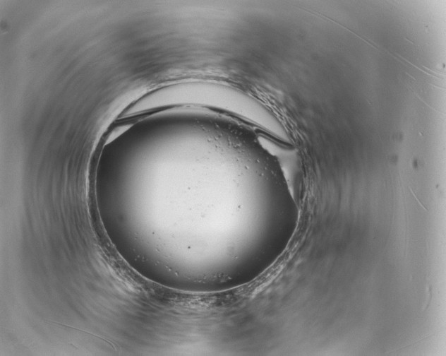 X0000088070148200705251411