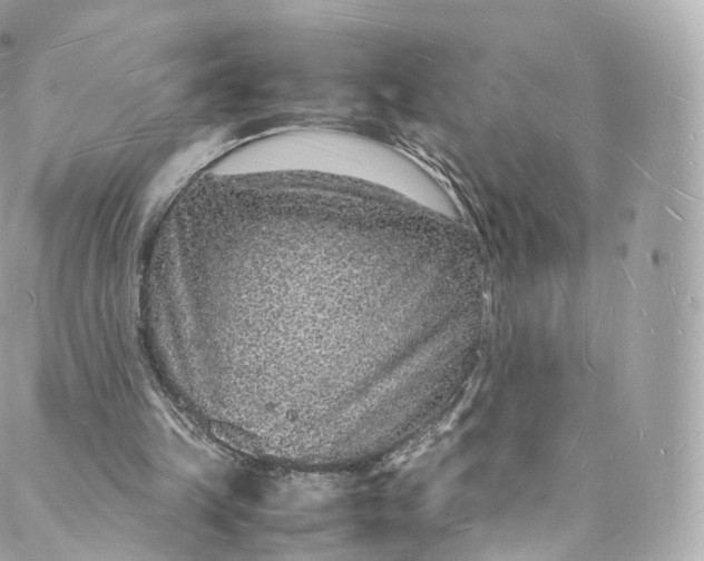 X0000088070149200705251411