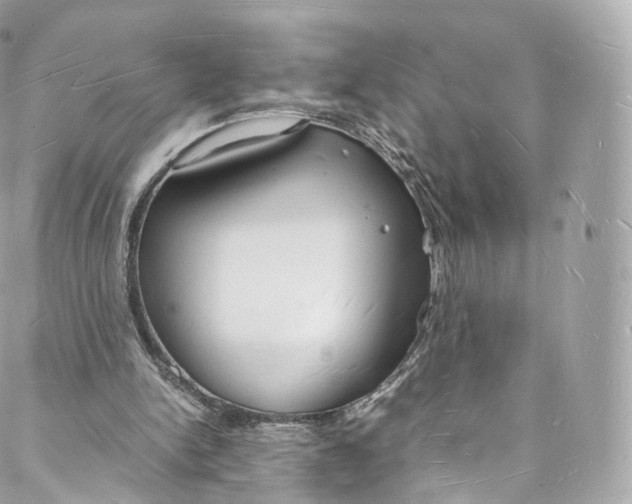 X0000088070150200705251411