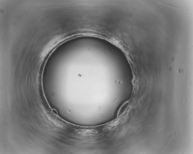 X0000088070151200705251411