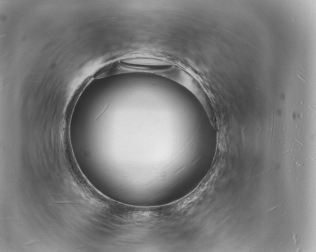 X0000088070152200705251411