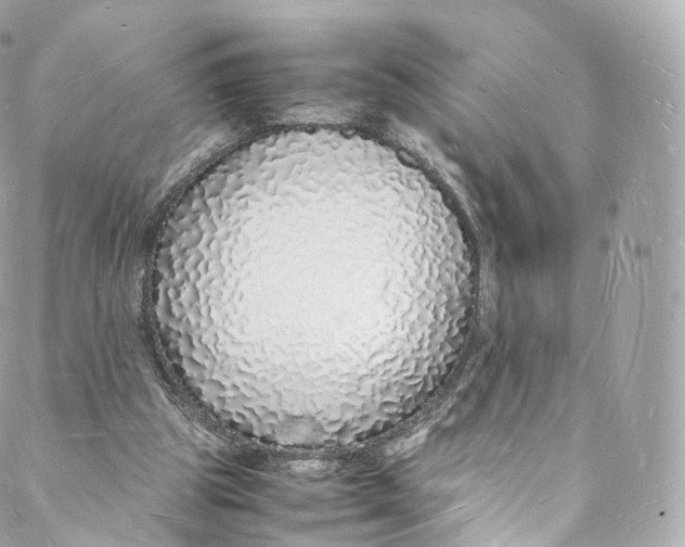 X0000088070153200705251411