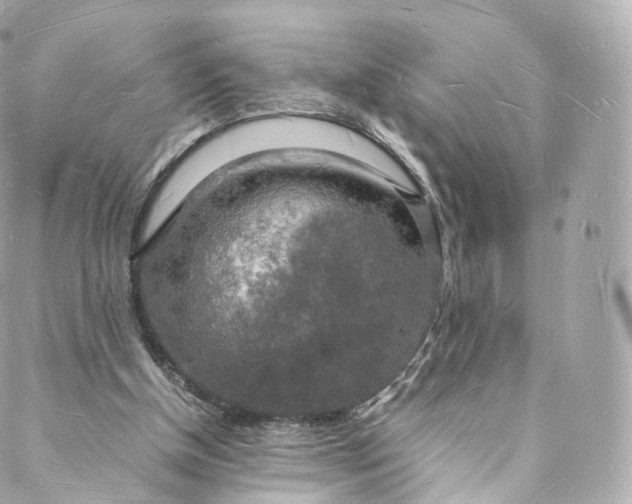 X0000088070154200705251411