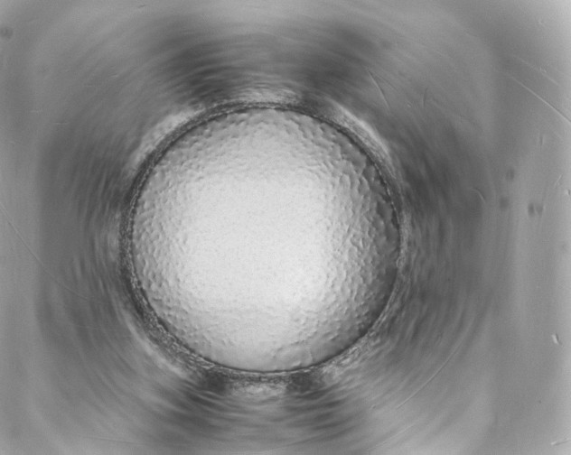 X0000088070155200705251411