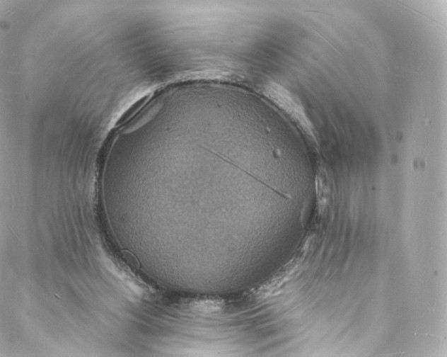 X0000088070156200705251411