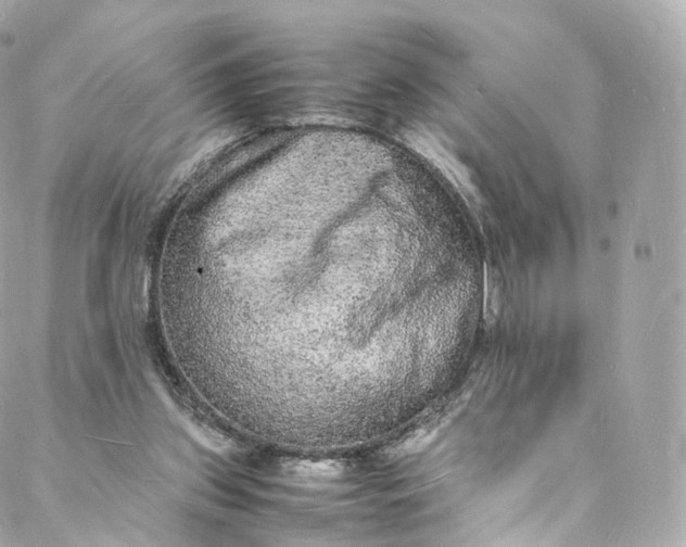 X0000088070157200705251411