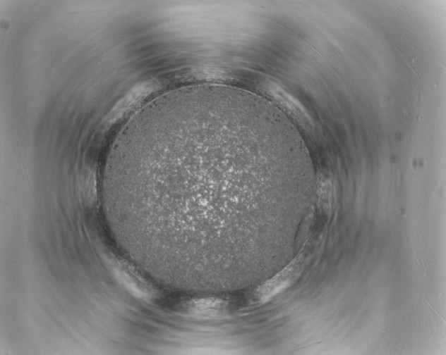 X0000088070158200705251411