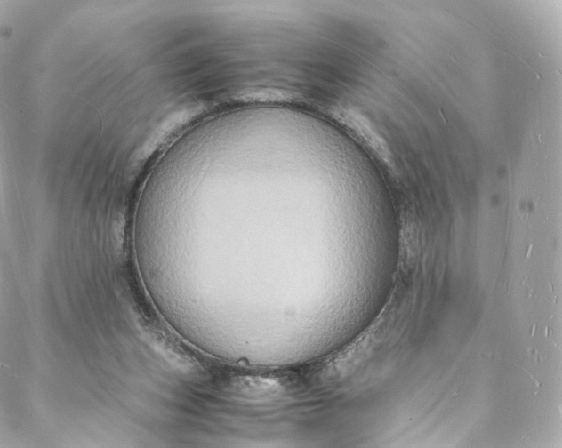 X0000088070159200705251411