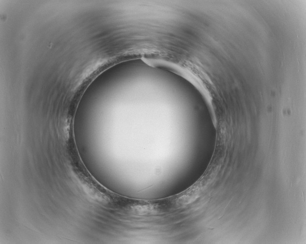 X0000088070160200705251411