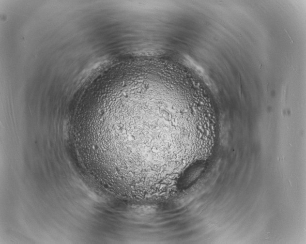 X0000088070161200705251411