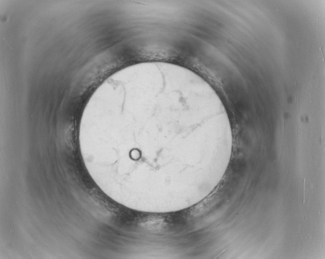 X0000088070162200705251411