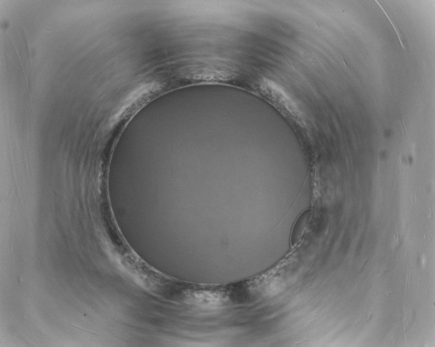 X0000088070163200705251411