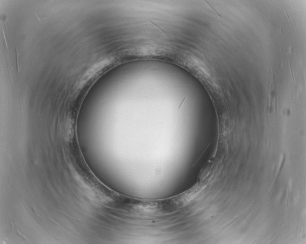 X0000088070164200705251411