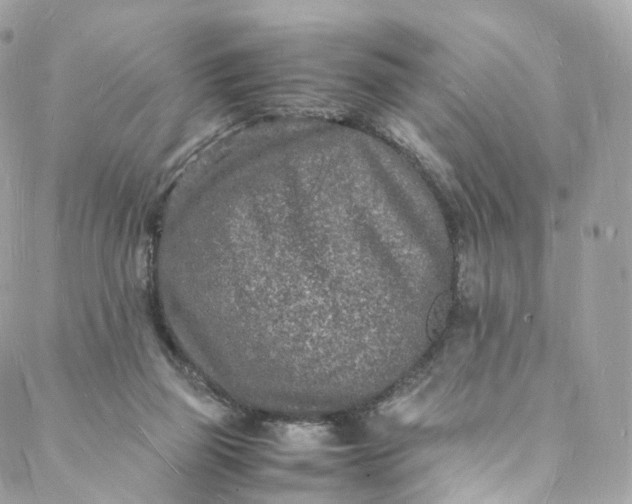 X0000088070165200705251411